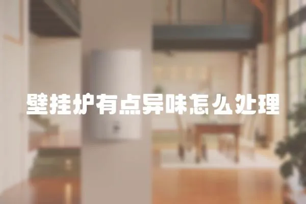 壁掛爐有點異味怎么處理