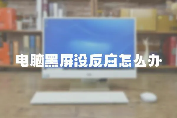 電腦黑屏沒(méi)反應(yīng)怎么辦