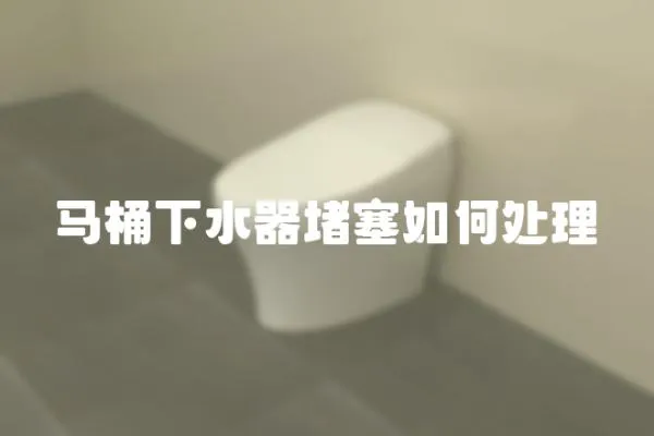 馬桶下水器堵塞如何處理