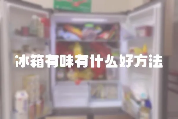 冰箱有味有什么好方法