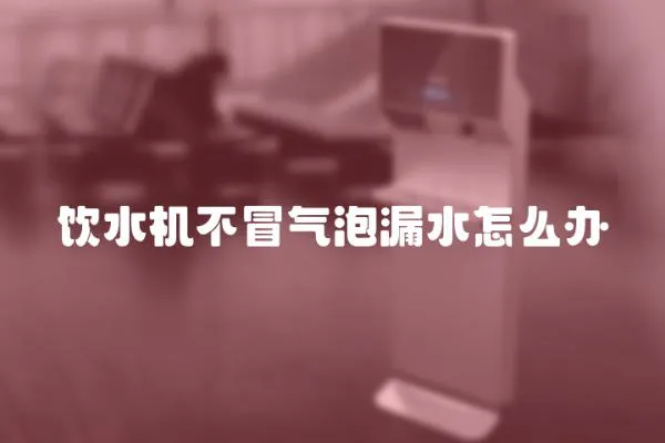 飲水機(jī)不冒氣泡漏水怎么辦