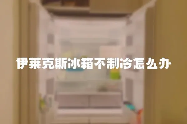 伊萊克斯冰箱不制冷怎么辦