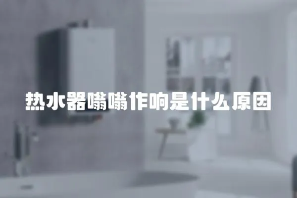 熱水器嗡嗡作響是什么原因