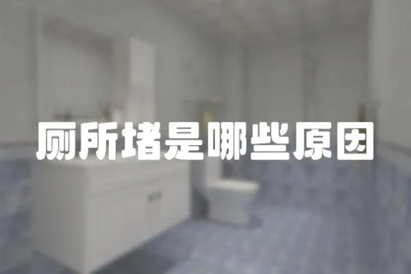 廁所堵是哪些原因