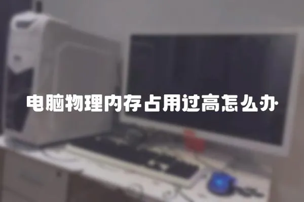 電腦物理內存占用過高怎么辦