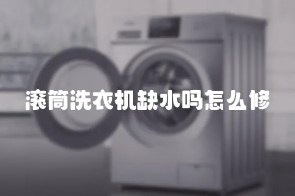滾筒洗衣機缺水嗎怎么修
