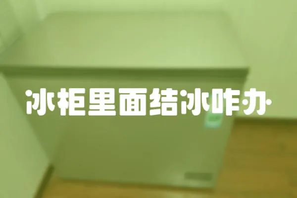 冰柜里面結冰咋辦