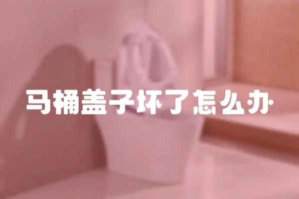 馬桶蓋子壞了怎么辦