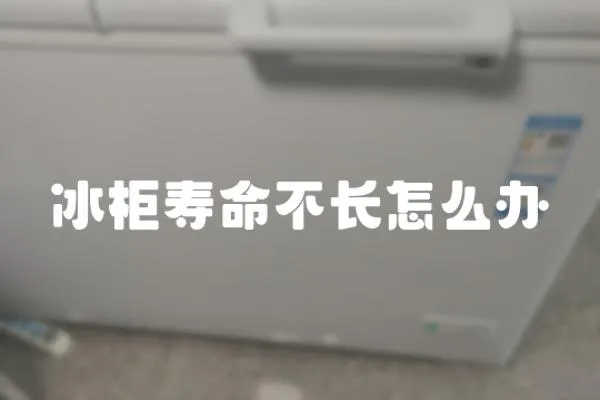 冰柜壽命不長怎么辦