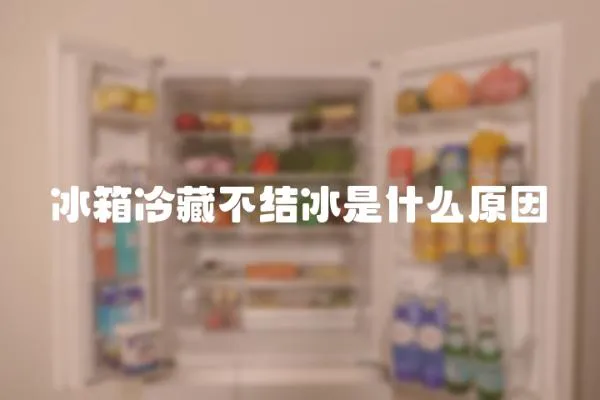 冰箱冷藏不結冰是什么原因
