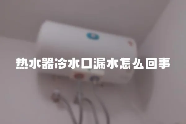 熱水器冷水口漏水怎么回事