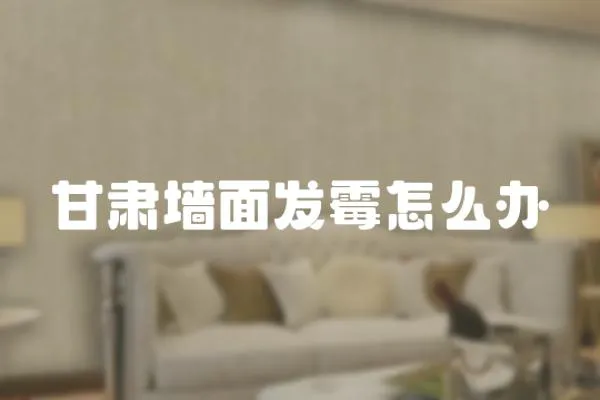 甘肅墻面發霉怎么辦