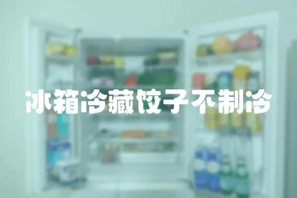 冰箱冷藏餃子不制冷