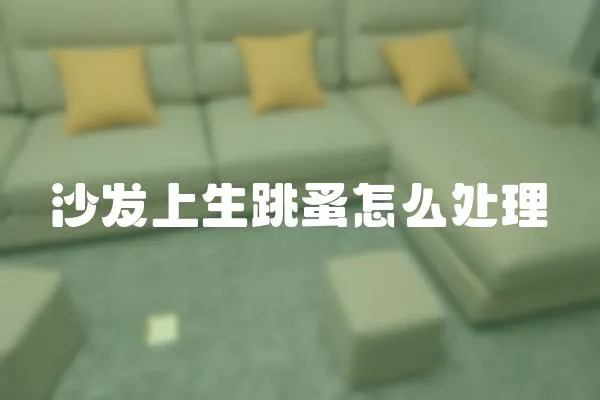 沙發上生跳蚤怎么處理