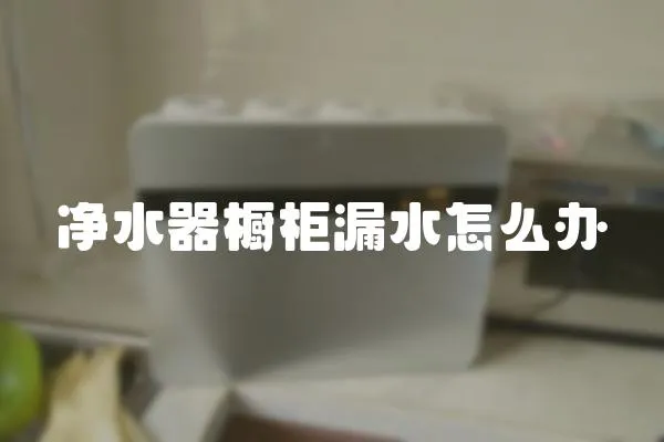 净水器橱柜漏水怎么办