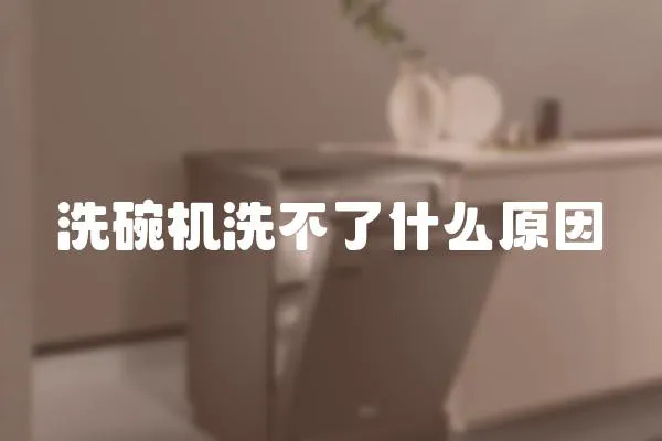 洗碗機洗不了什么原因