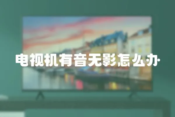 電視機有音無影怎么辦