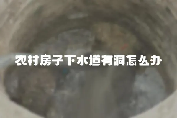 農(nóng)村房子下水道有洞怎么辦