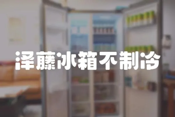 澤藤冰箱不制冷