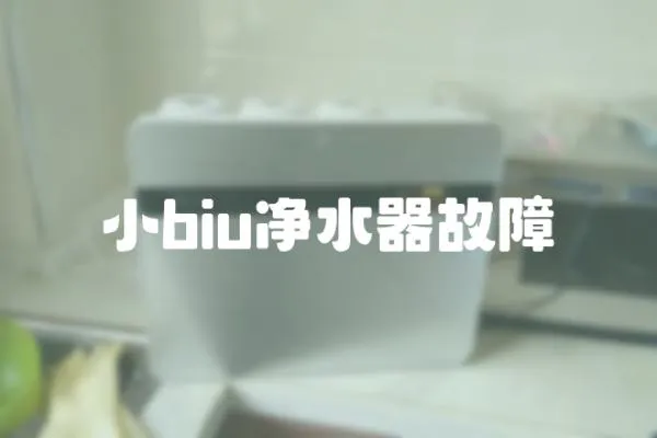 小biu凈水器故障