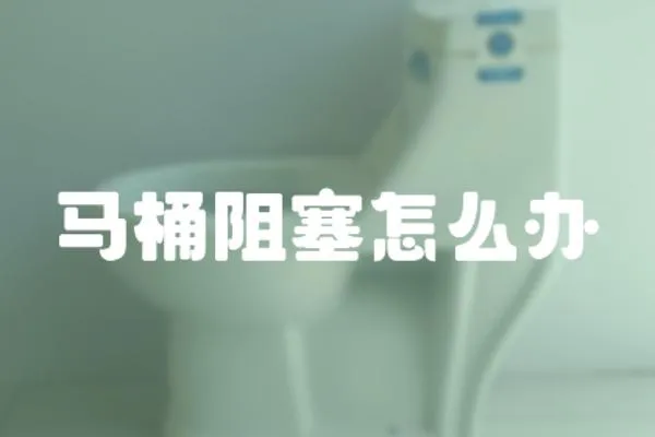 馬桶阻塞怎么辦