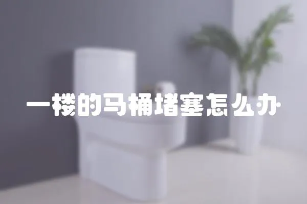 一樓的馬桶堵塞怎么辦