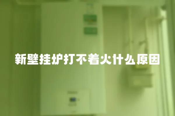 新壁掛爐打不著火什么原因