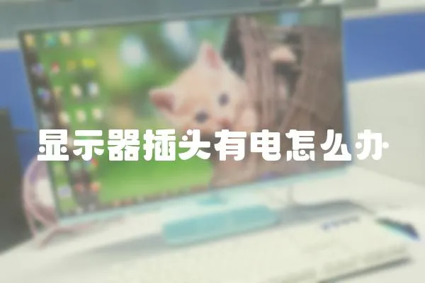 顯示器插頭有電怎么辦
