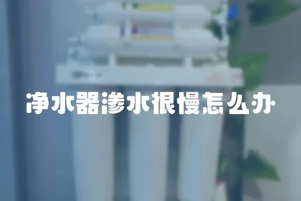 凈水器滲水很慢怎么辦