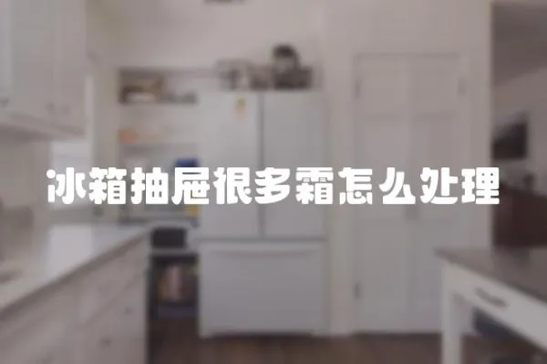 冰箱抽屜很多霜怎么處理