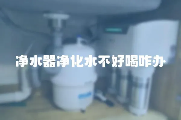 凈水器凈化水不好喝咋辦