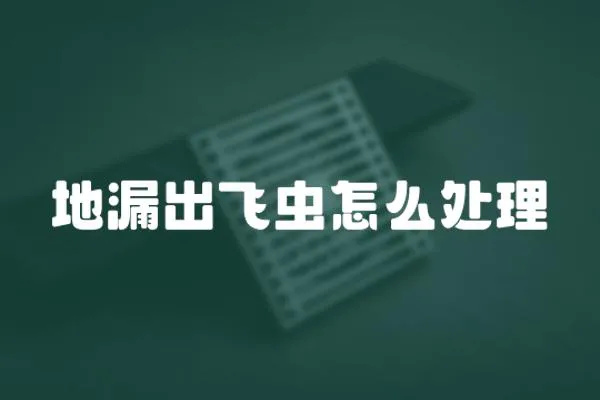 地漏出飛蟲怎么處理