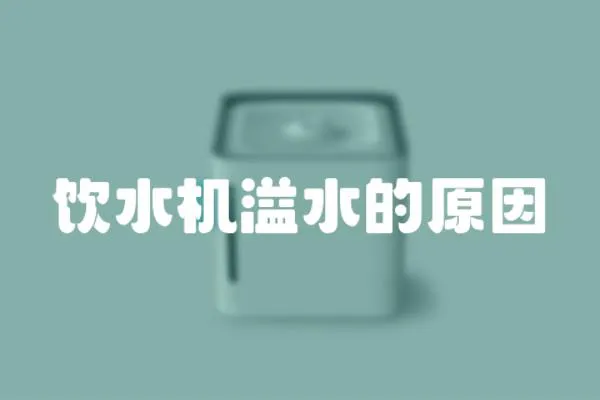 飲水機(jī)溢水的原因