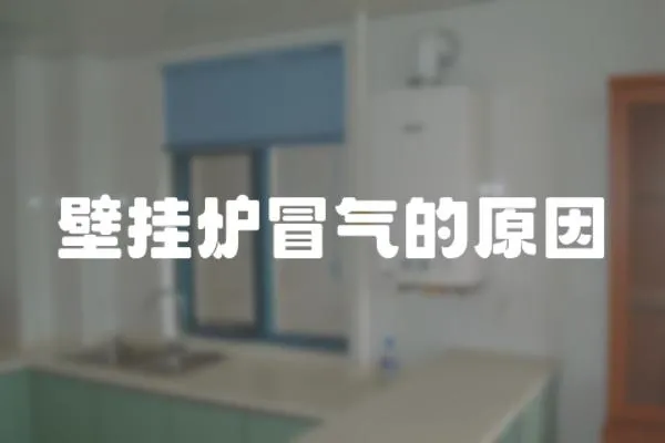 壁掛爐冒氣的原因