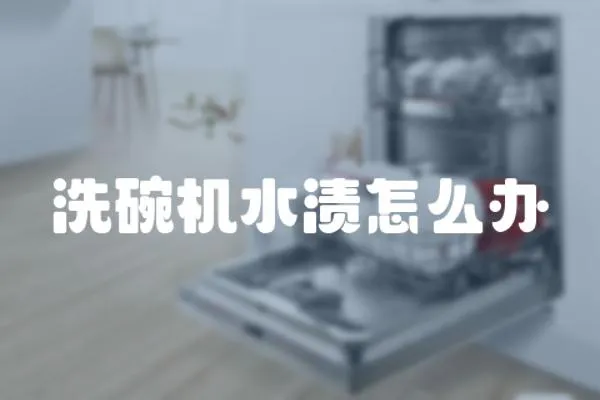 洗碗機(jī)水漬怎么辦