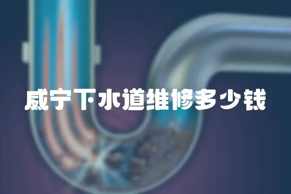 威寧下水道維修多少錢