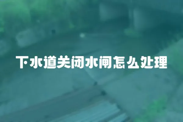 下水道關閉水閘怎么處理