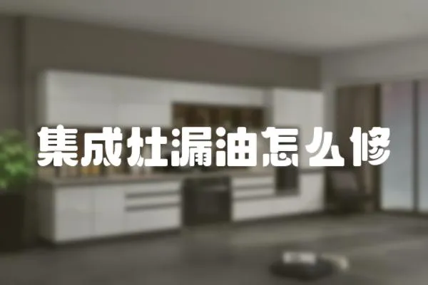 集成灶漏油怎么修