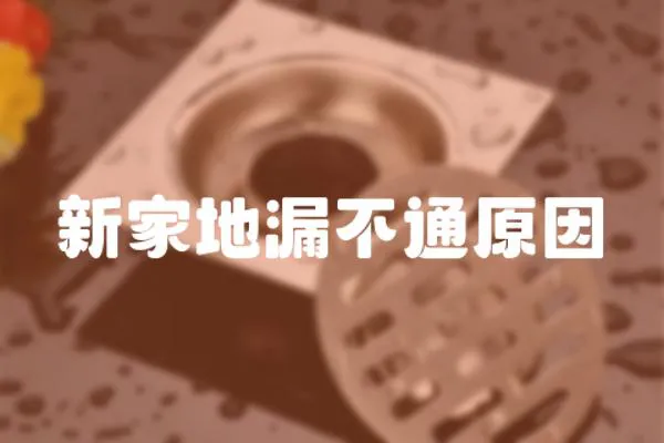 新家地漏不通原因