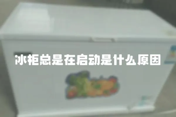 冰柜總是在啟動(dòng)是什么原因