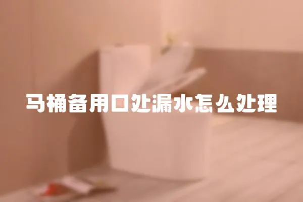 馬桶備用口處漏水怎么處理