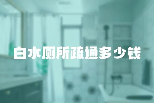 白水廁所疏通多少錢