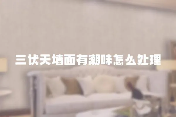 三伏天墻面有潮味怎么處理
