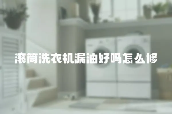滾筒洗衣機漏油好嗎怎么修