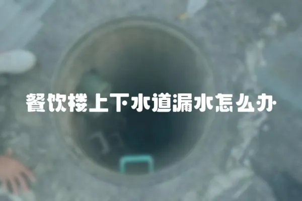 餐飲樓上下水道漏水怎么辦