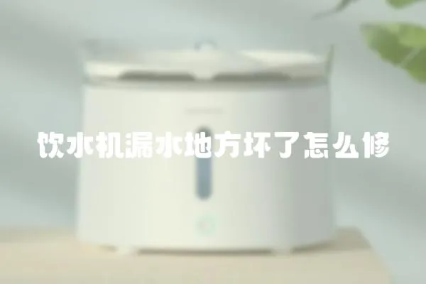 飲水機(jī)漏水地方壞了怎么修