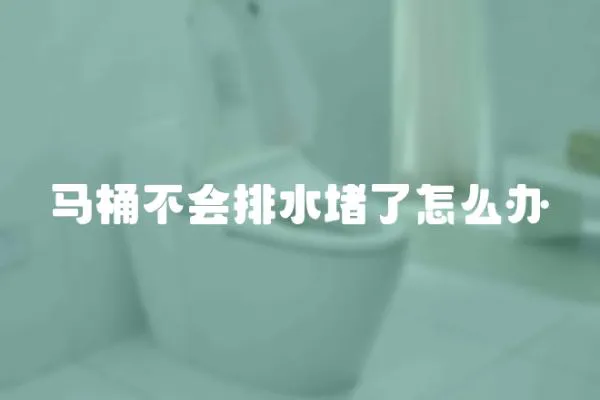 馬桶不會排水堵了怎么辦