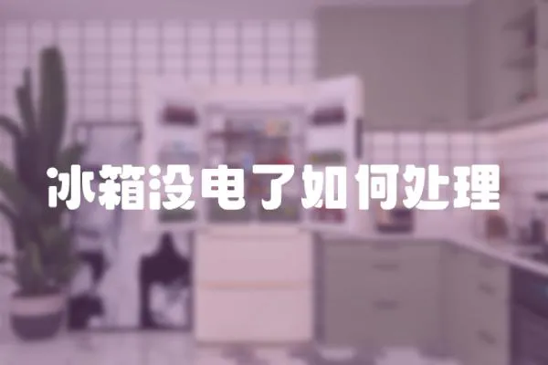 冰箱沒電了如何處理