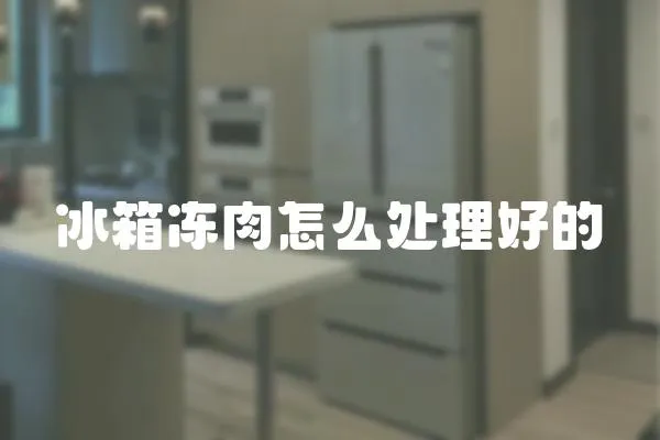 冰箱凍肉怎么處理好的