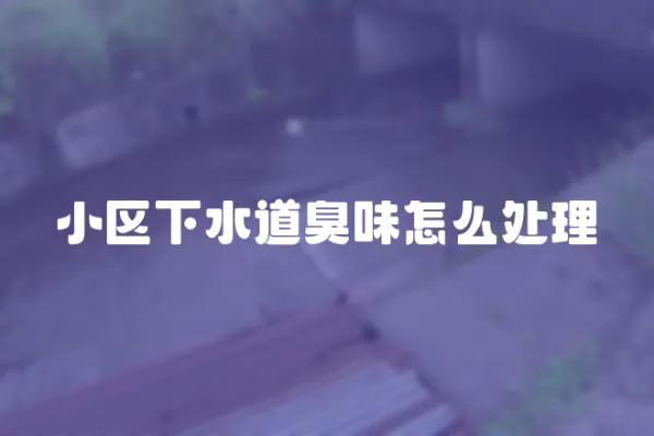 小區下水道臭味怎么處理